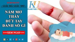 mơ bị đứt tay đánh con gì