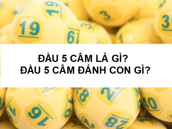 Cùng giải mã khi gặp đầu 5 câm